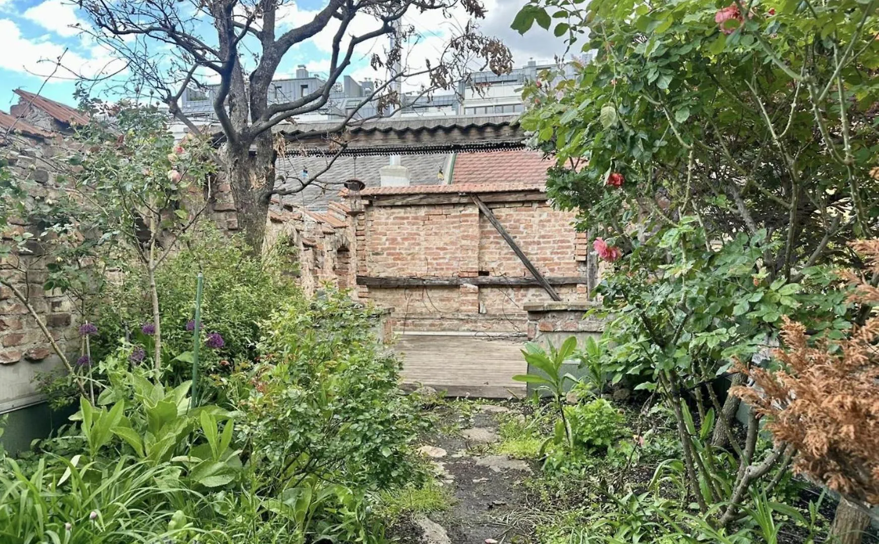 Eden Garden Apartment With Terrace & Bbq 비엔나 0*,  오스트리아