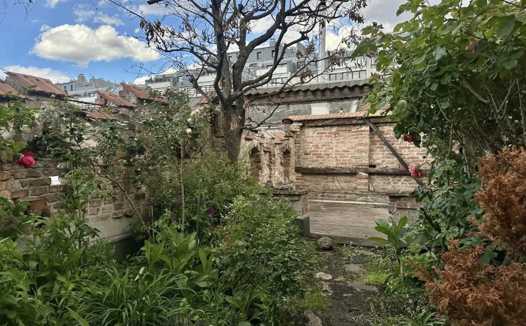 Eden Garden Apartment With Terrace & Bbq Vienna